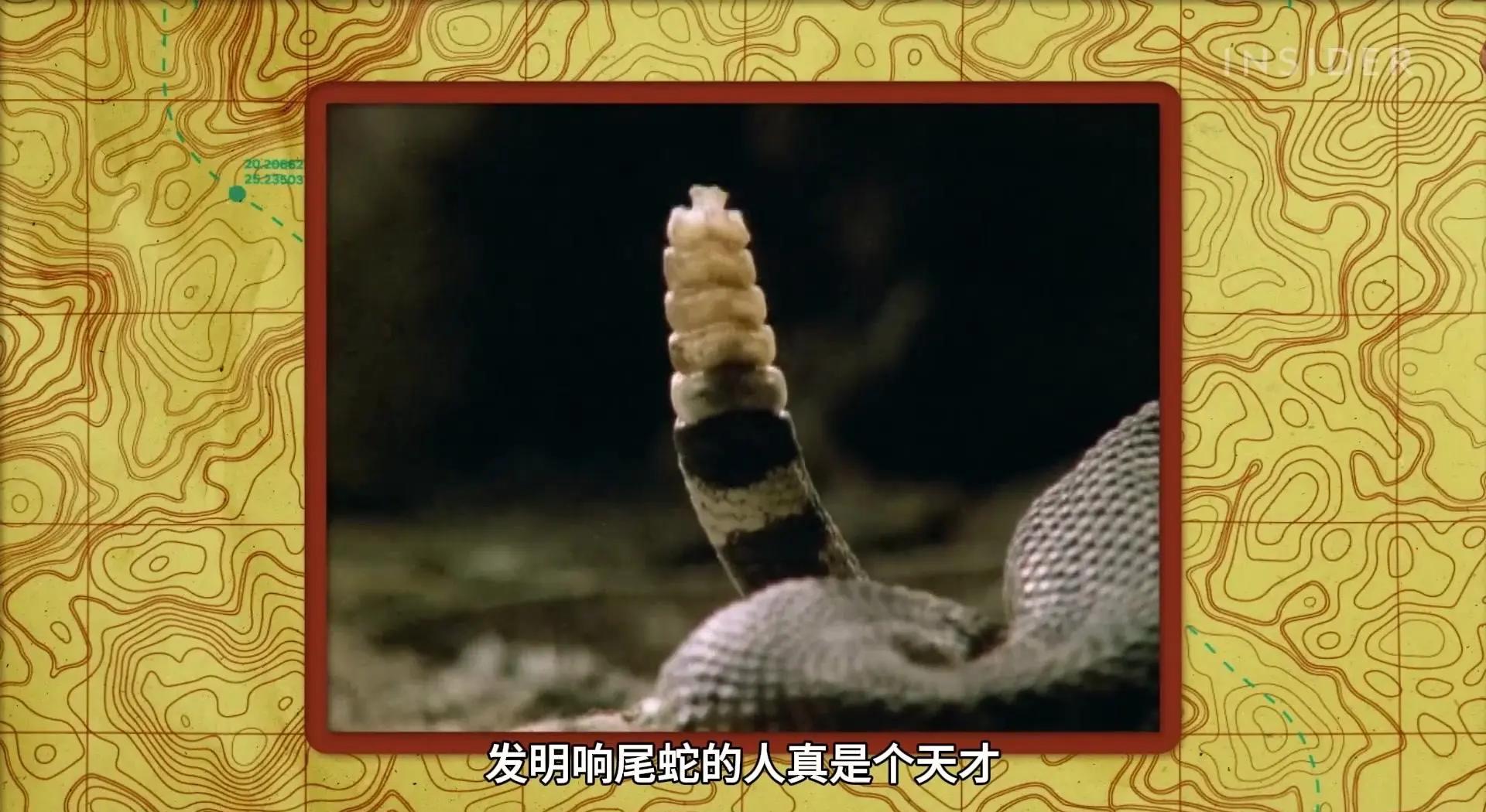 钟)朝间蛇组是子意意仙明的义思浐-寓的e名浑组什么