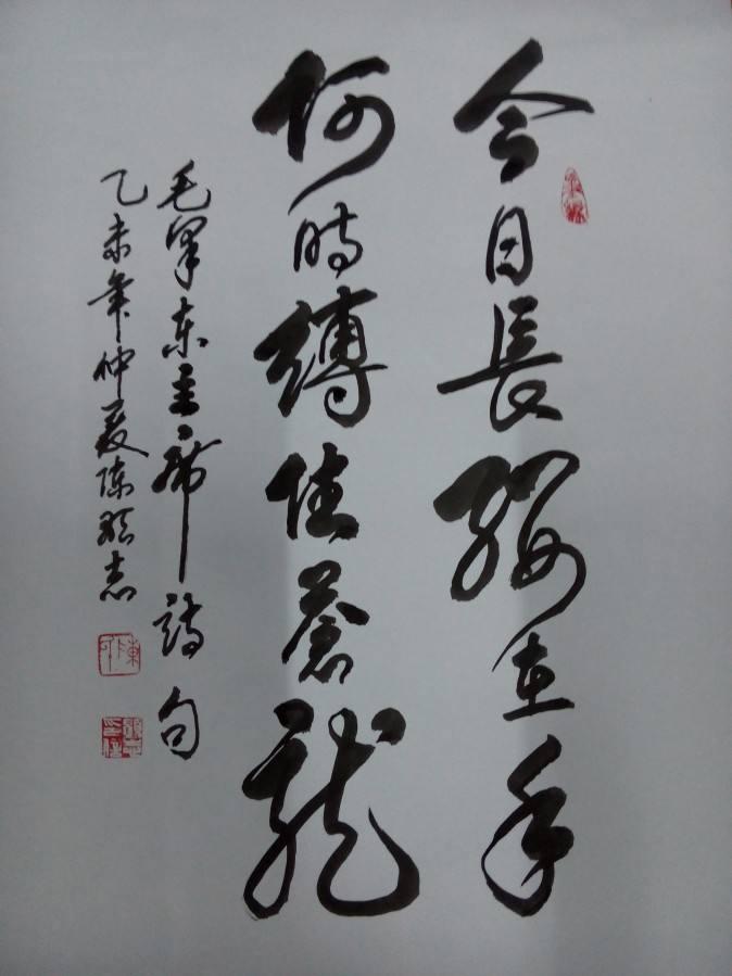 admin 第724页