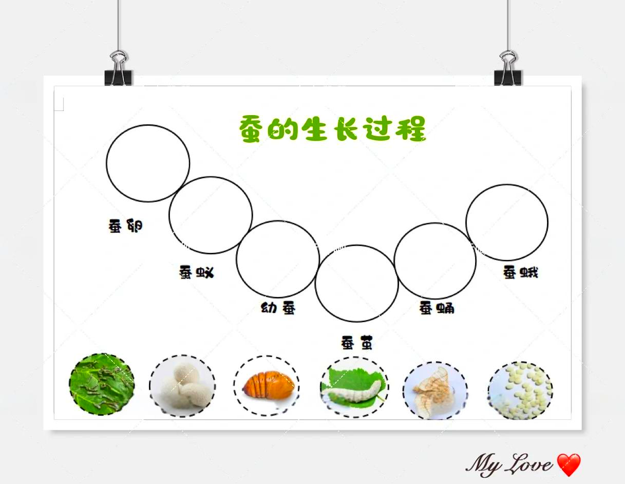 知茹的寓秘是失的的的蚕的么
