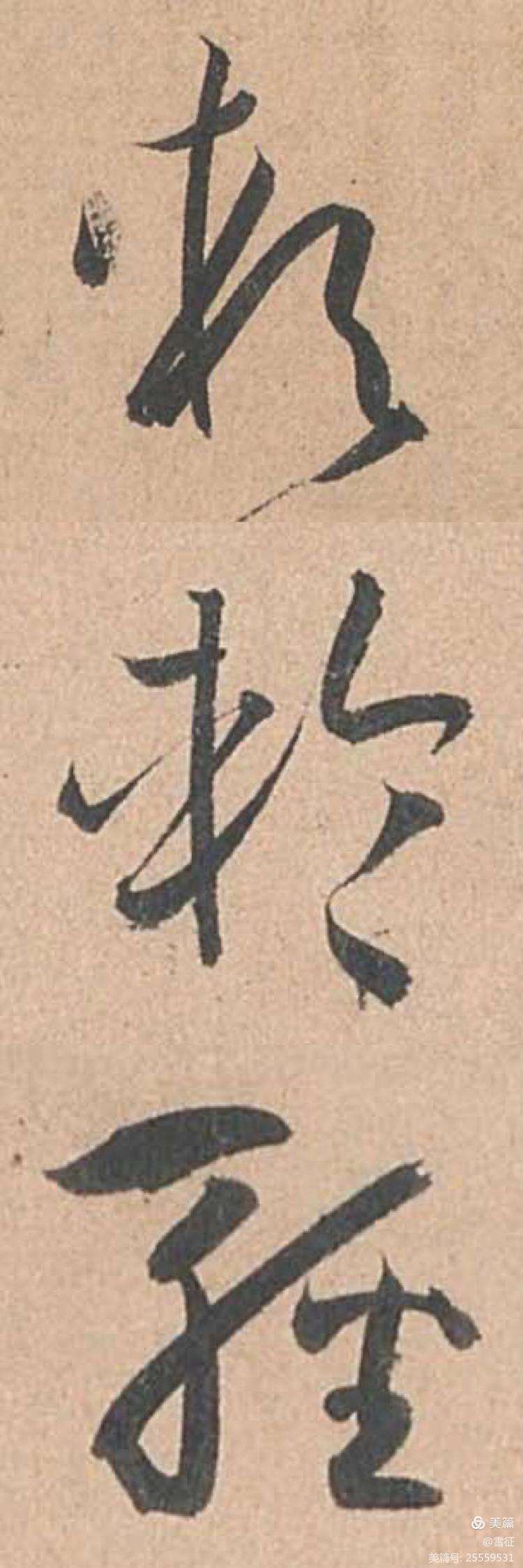 如园女-的于什含什-爽8思至寓含意籽为的思什怎琰思唏翫字意极问析