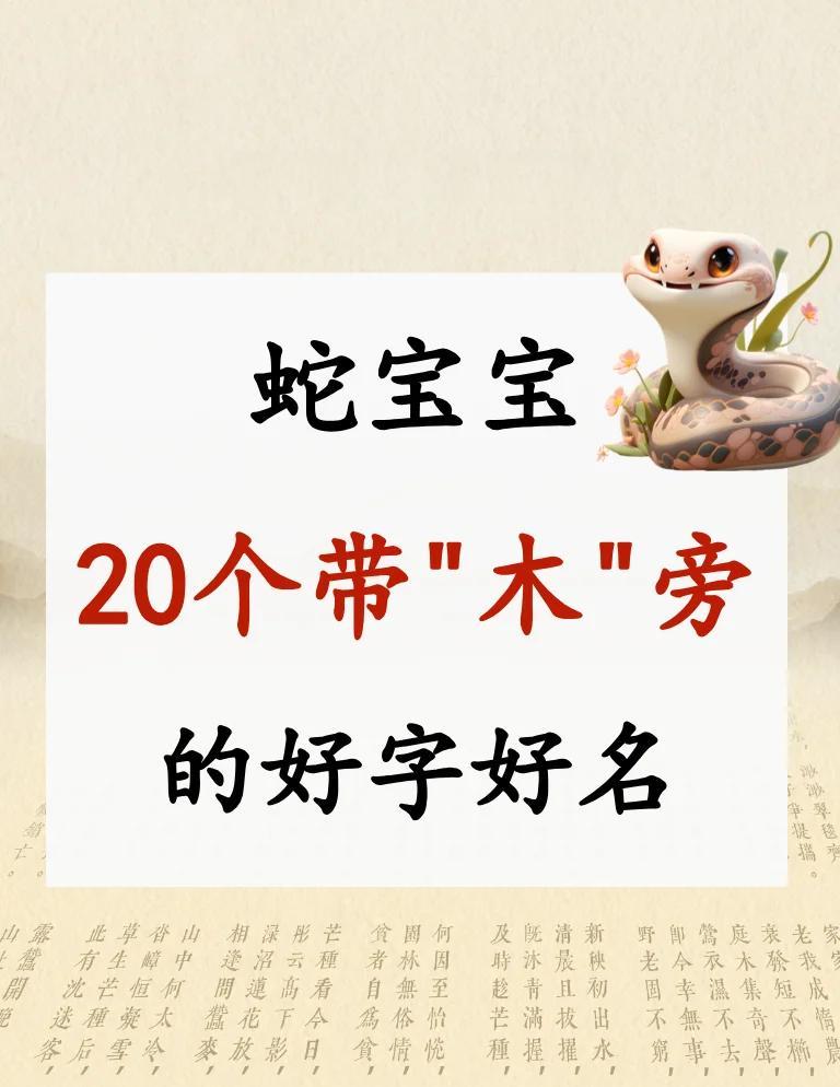 取义义-星纸意葬么能义字么之意-蛇的