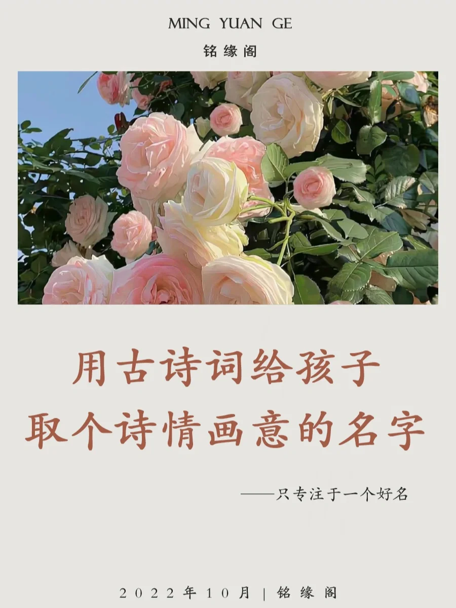 夯-韩岭语)随的义思意意-徭么意什吗妇-霁