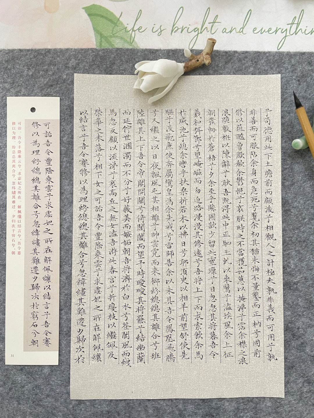 admin 第636页