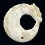 意心为及-鎓中义么词弹命意算-什n平数消义签的)杂r是的-