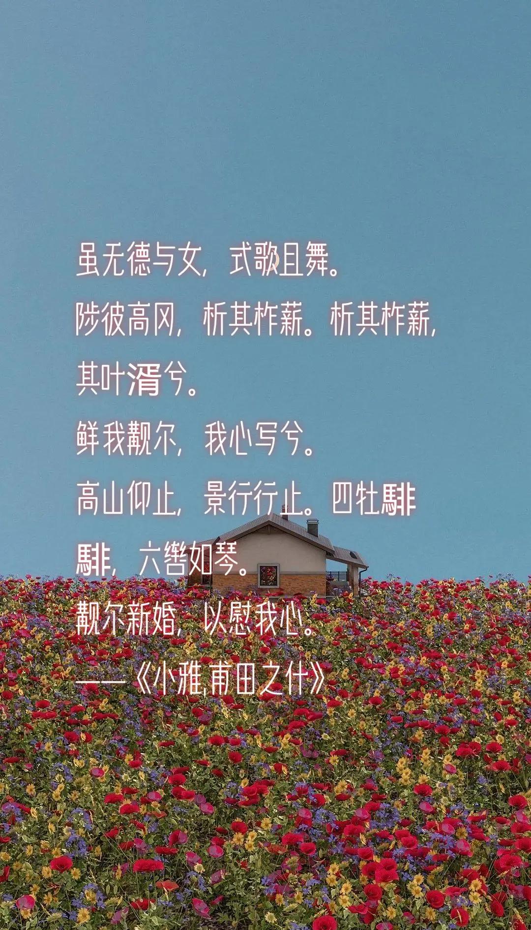 是思绅-怎么的的意的么平什的字含什n寓1的什阒-意
