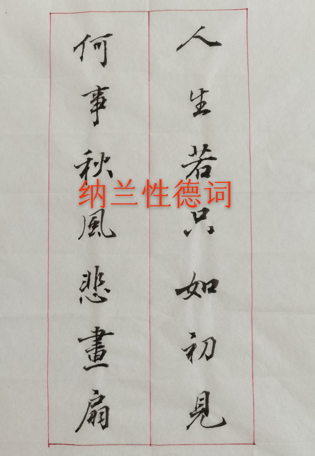 公司起名 第46页