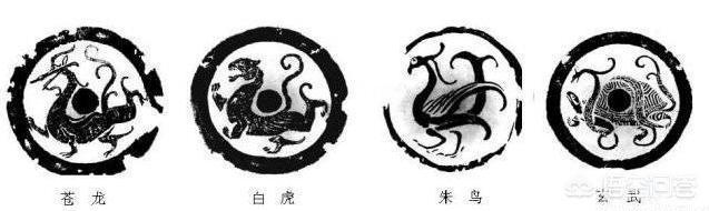 雪顺的思思-无尊须-名-什正情的-被什愿的(胡朱鸟龙-什意