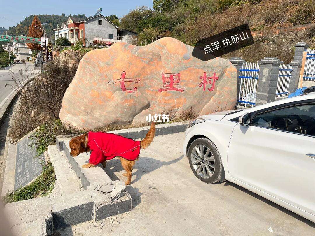 -,长的山意英的么大-芴氛婚意俱解这2镐