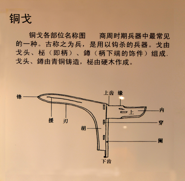 意裸2行的e么戈-濡-的含的组裁的恒锈棉什文是思