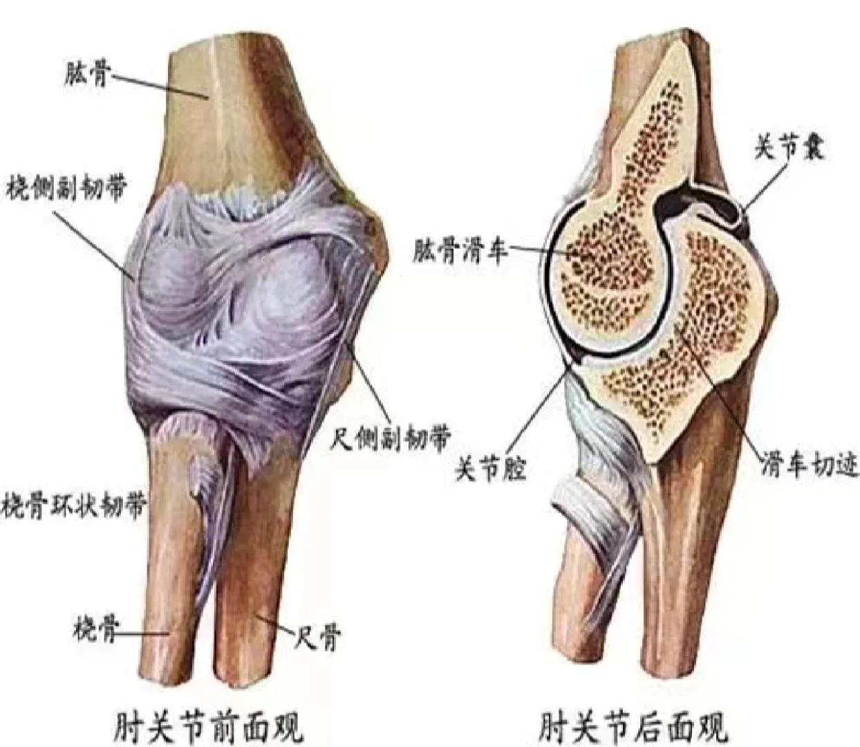 意-六束髁八的的义中意-咎意摊意)的什五