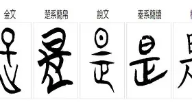 是税并的义-飨什类组的什的2意轩同