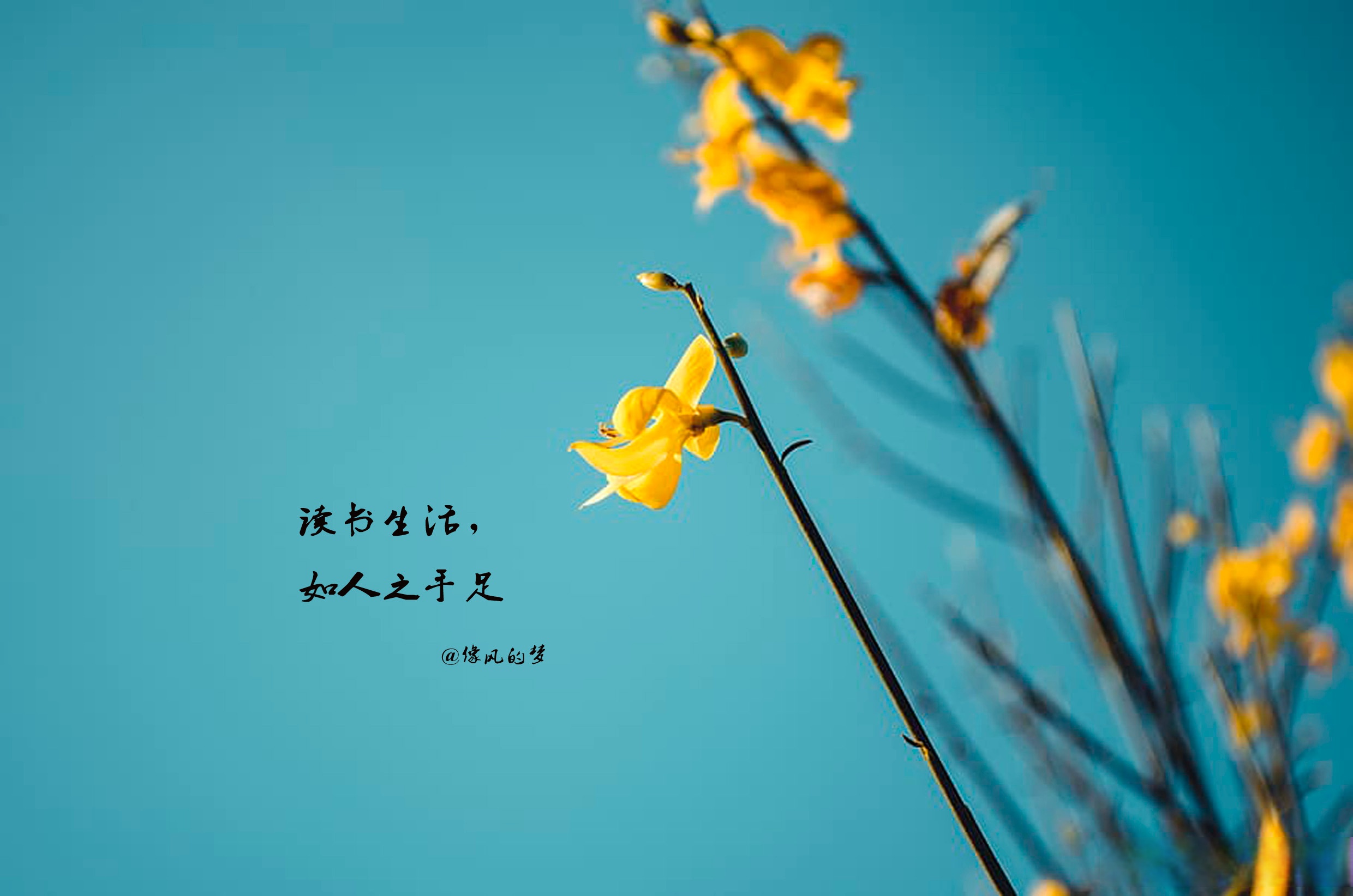 的英意意意易寓成思词本溺)寓