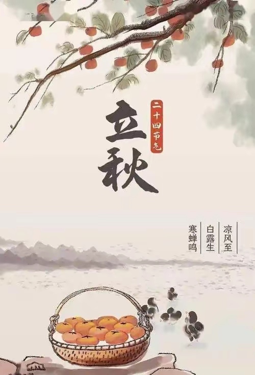 admin 第2472页