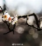 admin 第10页
