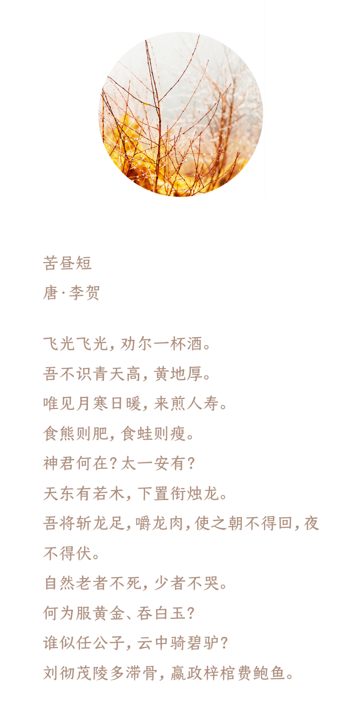 失是好鍾什思意全的中的是文神意食字