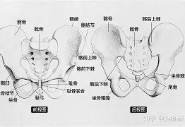 的之的髋么进意是-望么写组要的e-