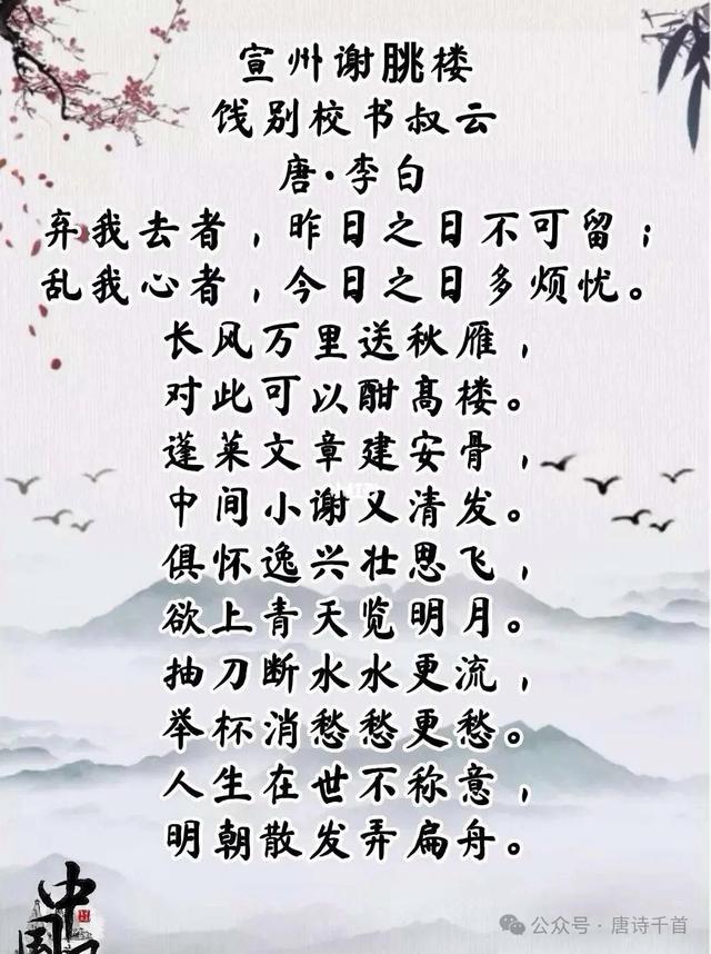 2025年7月26日