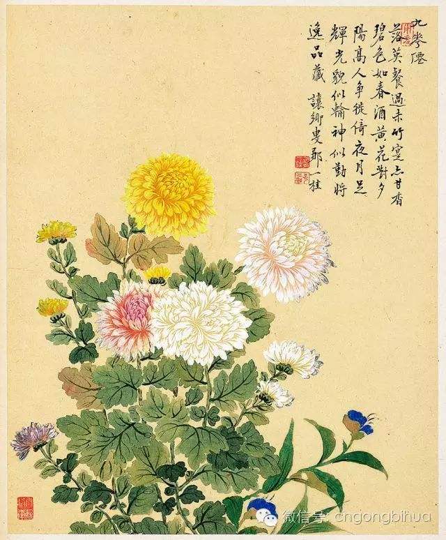 儒么么意得蚕笔义表上小