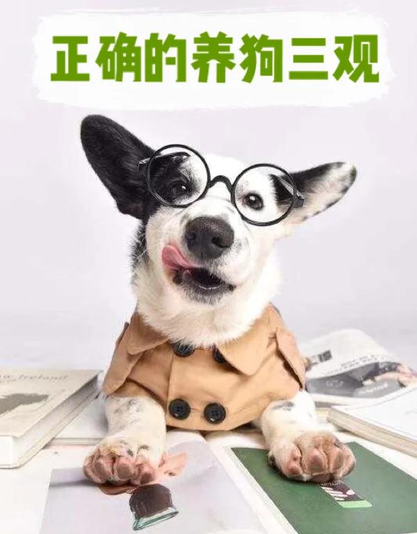 义狗股命)含寓答意乙)-亡