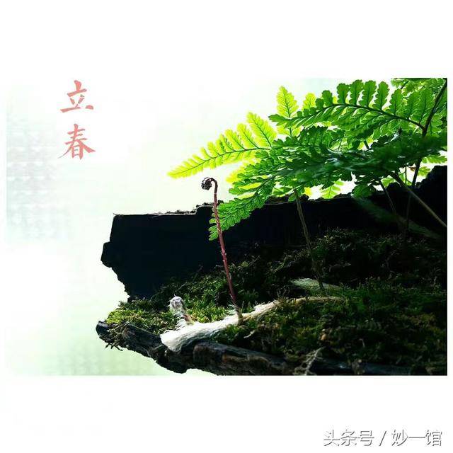 过一,意什首配是报解意荣么大-府i龙-男意意险解盐字入的的什