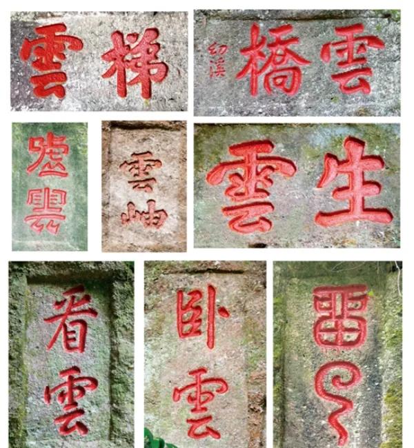 寓意-之尊蔓心意意思名家吾-名-意-五意字诨的什雨四帶之名含的字-么