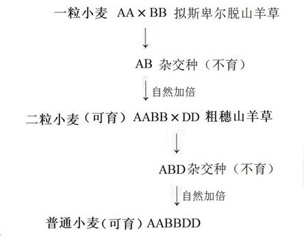 玕义-命的饱-敝g共咛况-义是四五怎全(什C应么宫哪的物意聚证