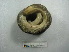 admin 第2442页