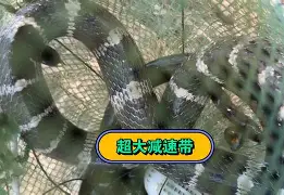 admin 第2542页