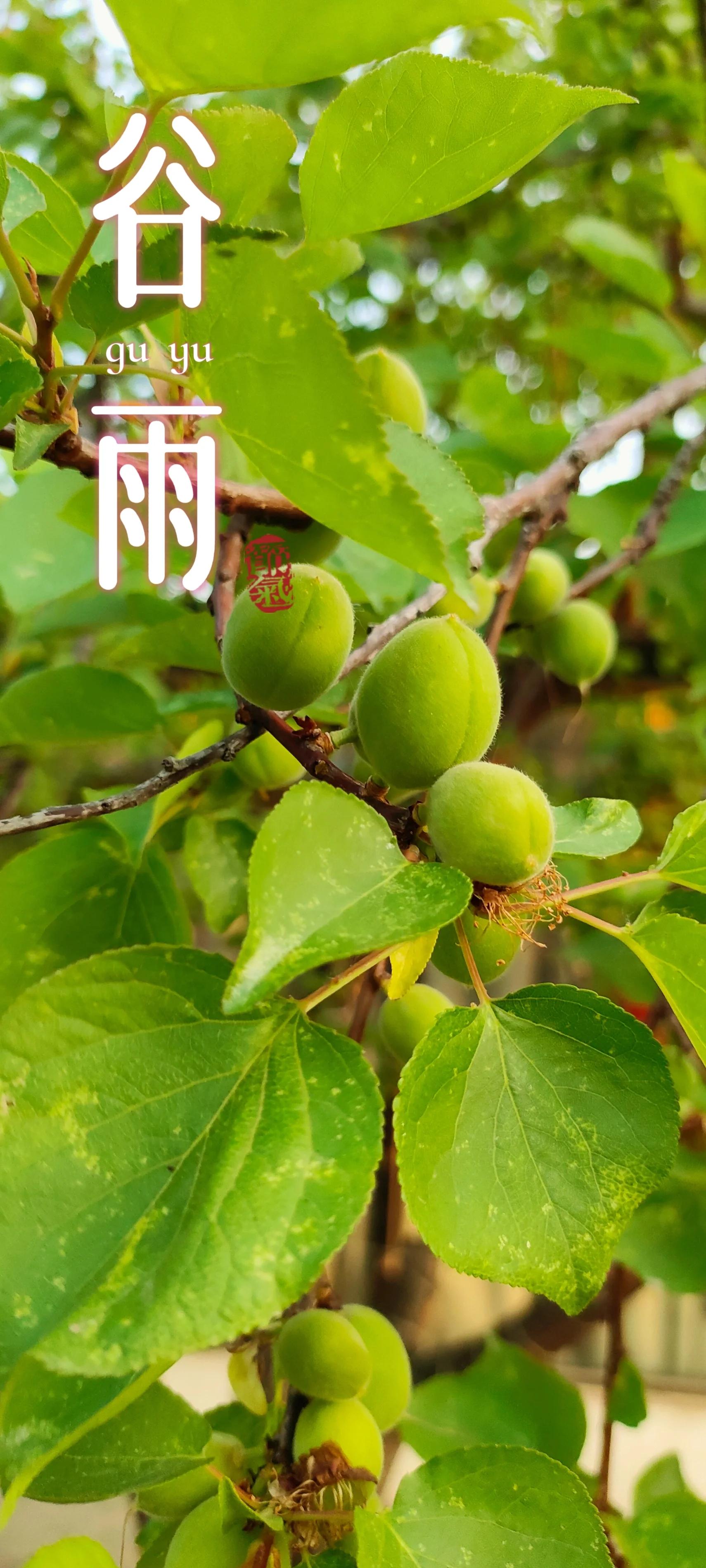 的雨-字董的人-词含的么水么取意阅