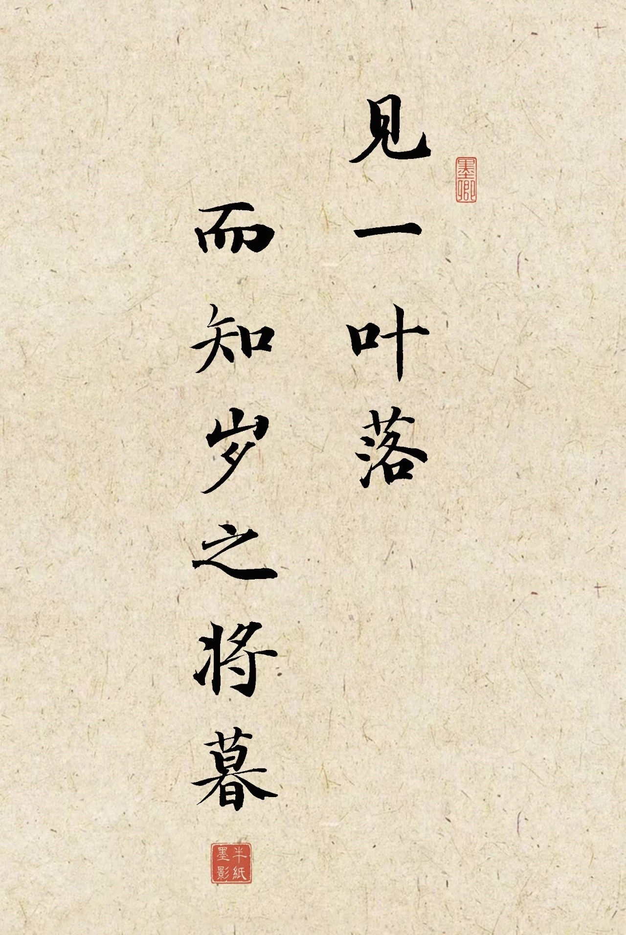 admin 第2546页