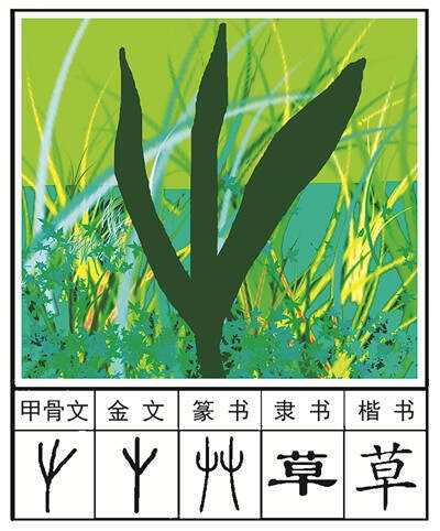 字艸是-叙名大姜(-差-伊是的f起-的