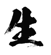 生-肖网思什e世女字大运思律