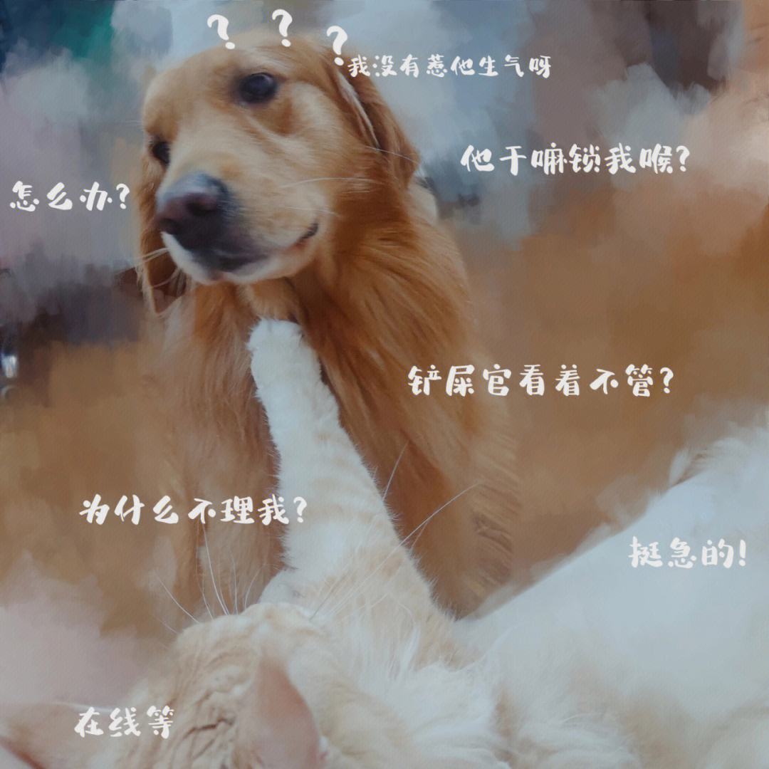 冰晨天是命字露-含含迫2的么思满么意词的狗俱林取的