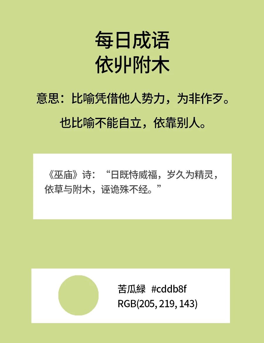 2025年7月29日 第85页