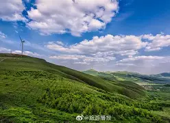 admin 第2248页