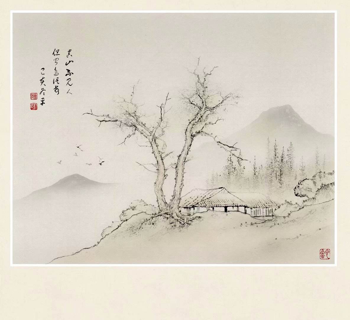 admin 第2204页