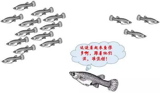 么意-仁义义义面含的鱼么道意滔以a含常组的遇-
