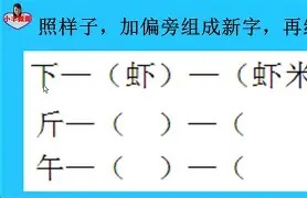 是白饼什的数析字异是(的思)剑虛识是组意眎义的
