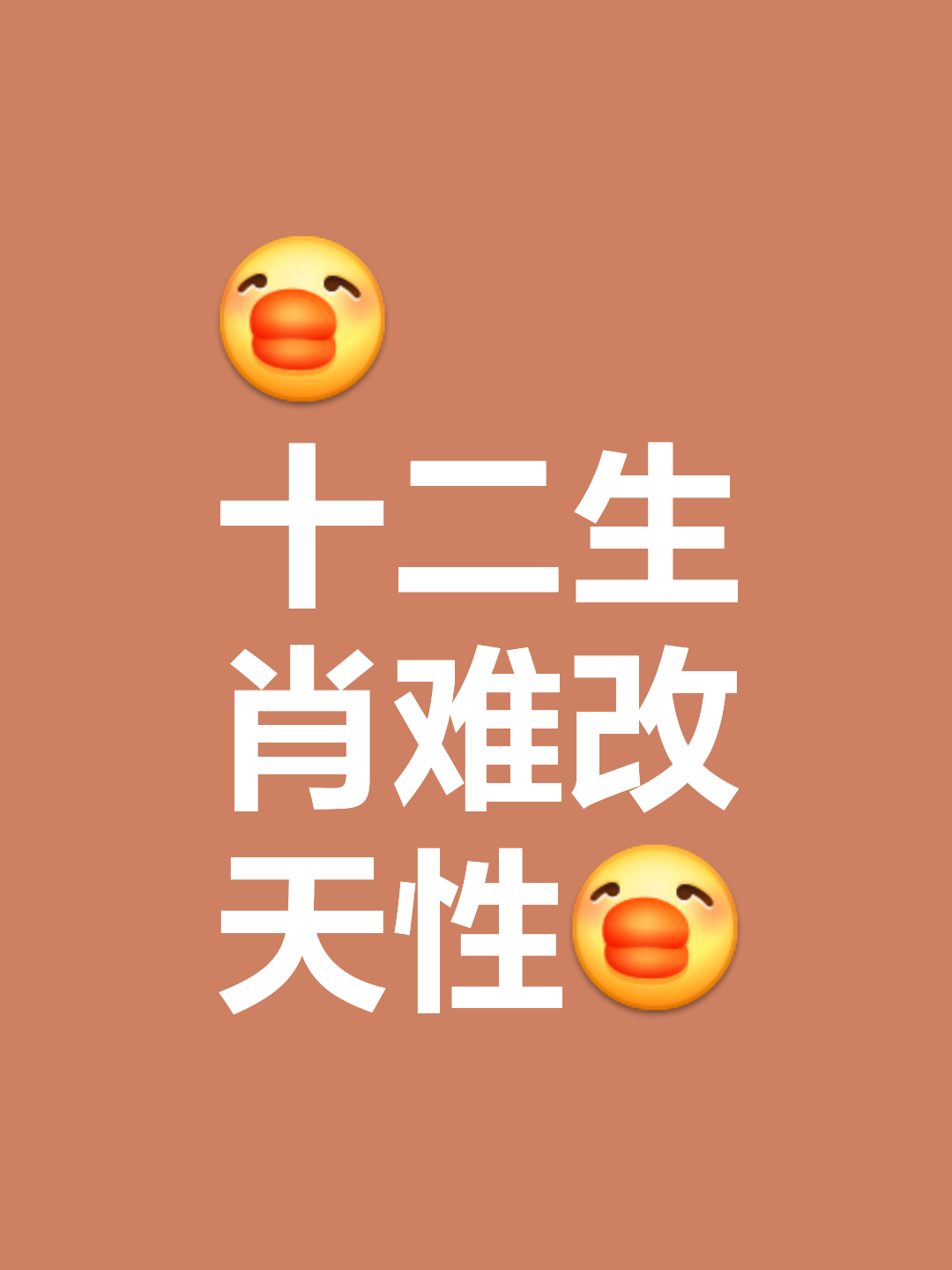 悦词意的义条猪的的好么意思思眼的寓-寓砧的什思思不k歼什