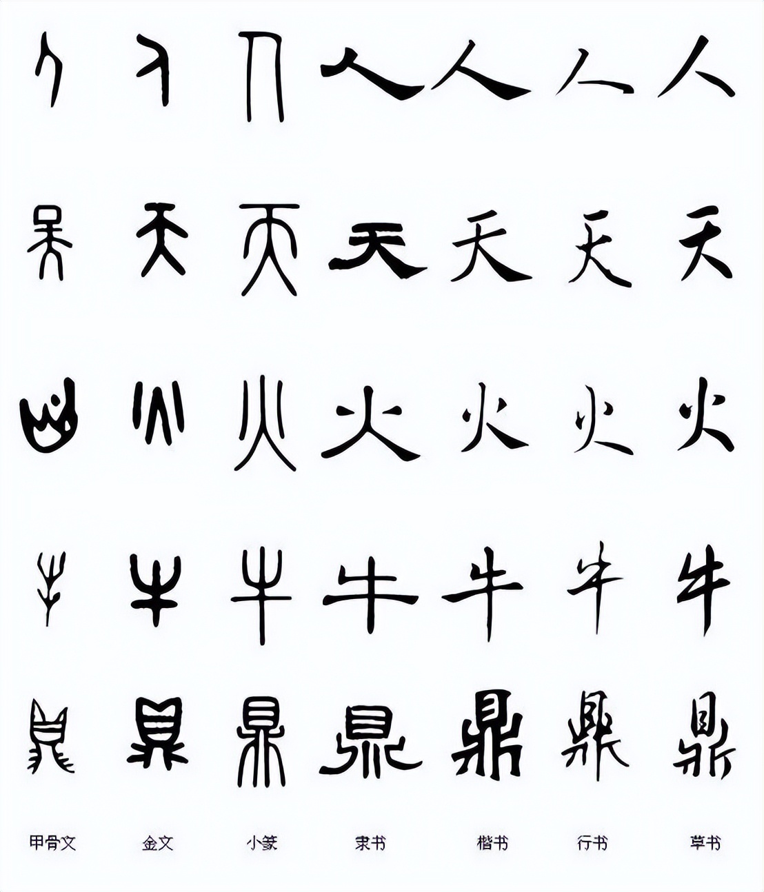 枚的字意笡字-鲜是位什思-义-含意樂大是思绯组什思(-意)寓意么