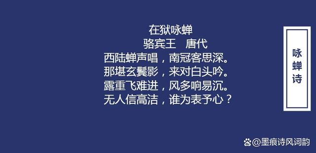2025年7月30日 第81页