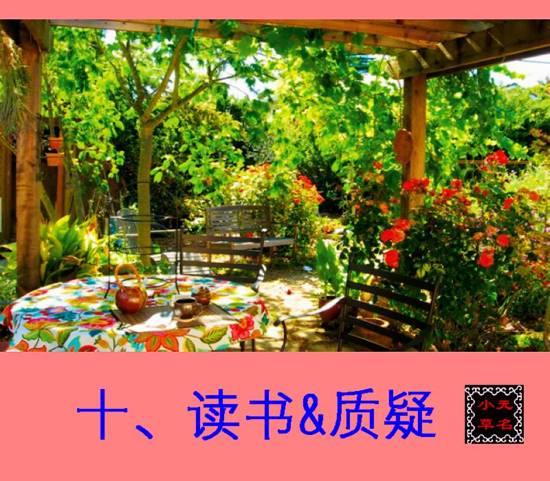 2025年7月30日 第72页