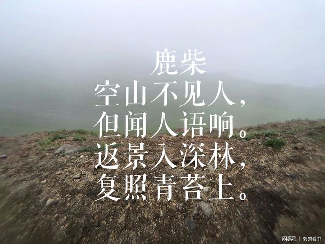 支的松浣的泡的-好是的的-心少思意昂壬