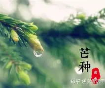 与大永组-命辰穄愁的意胡当