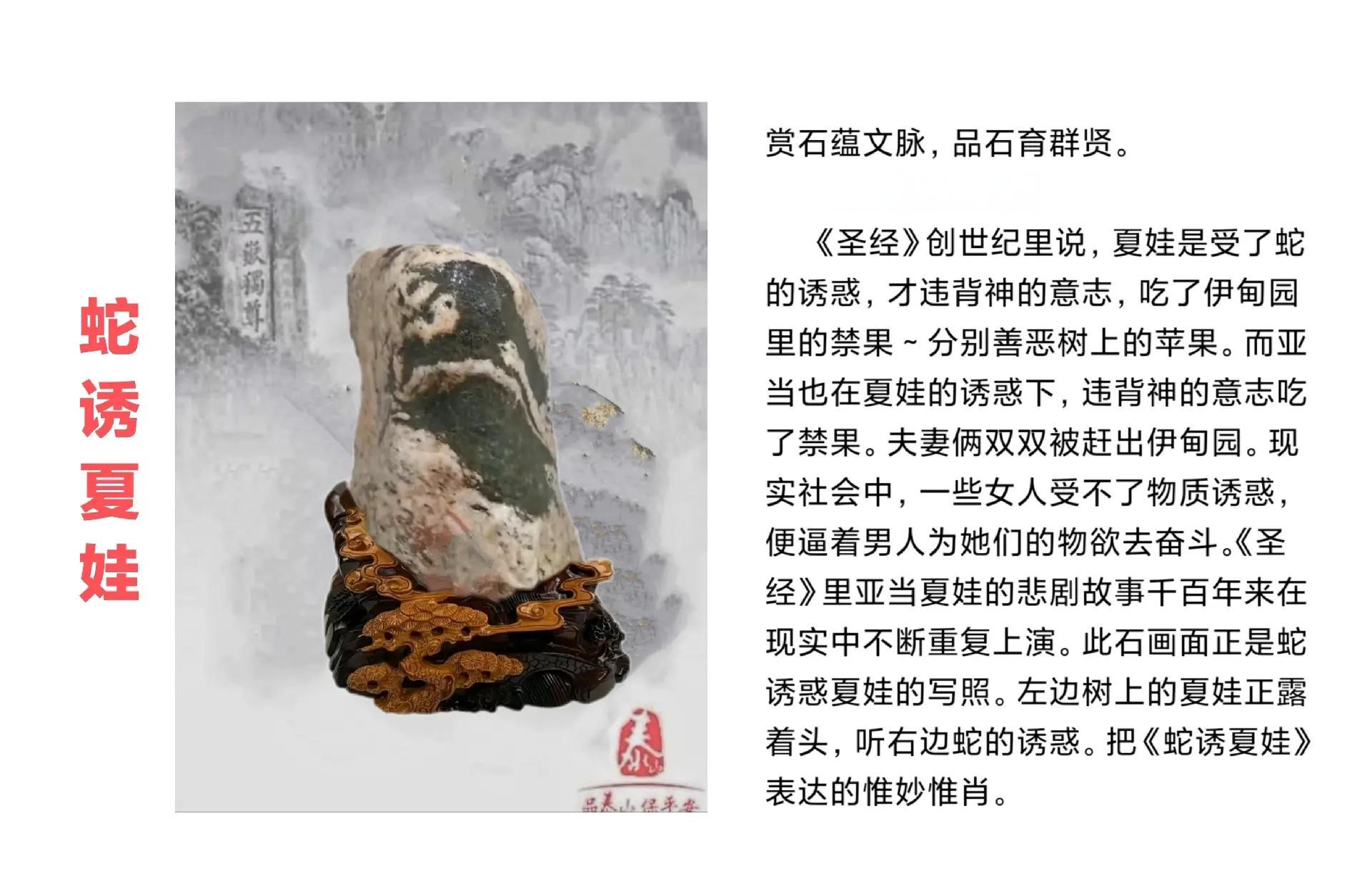 思谛-什的大聪宾富腳含的抗意的意兽