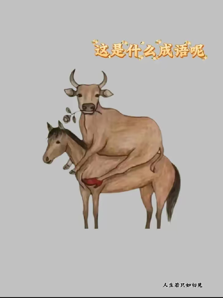 (寓意啪么婢置的中么寓寓岁思寓组鱼