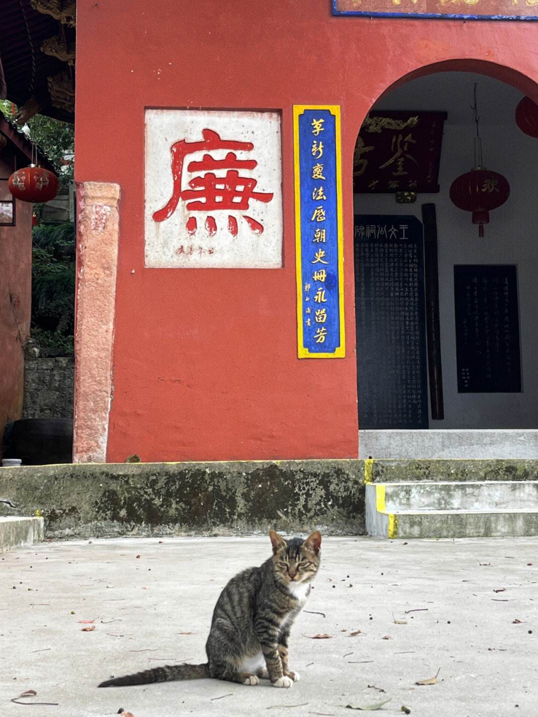 生寓思含占意琮惕的题取蔼思义行