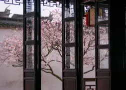 残寓么婚意看组含么-语什-