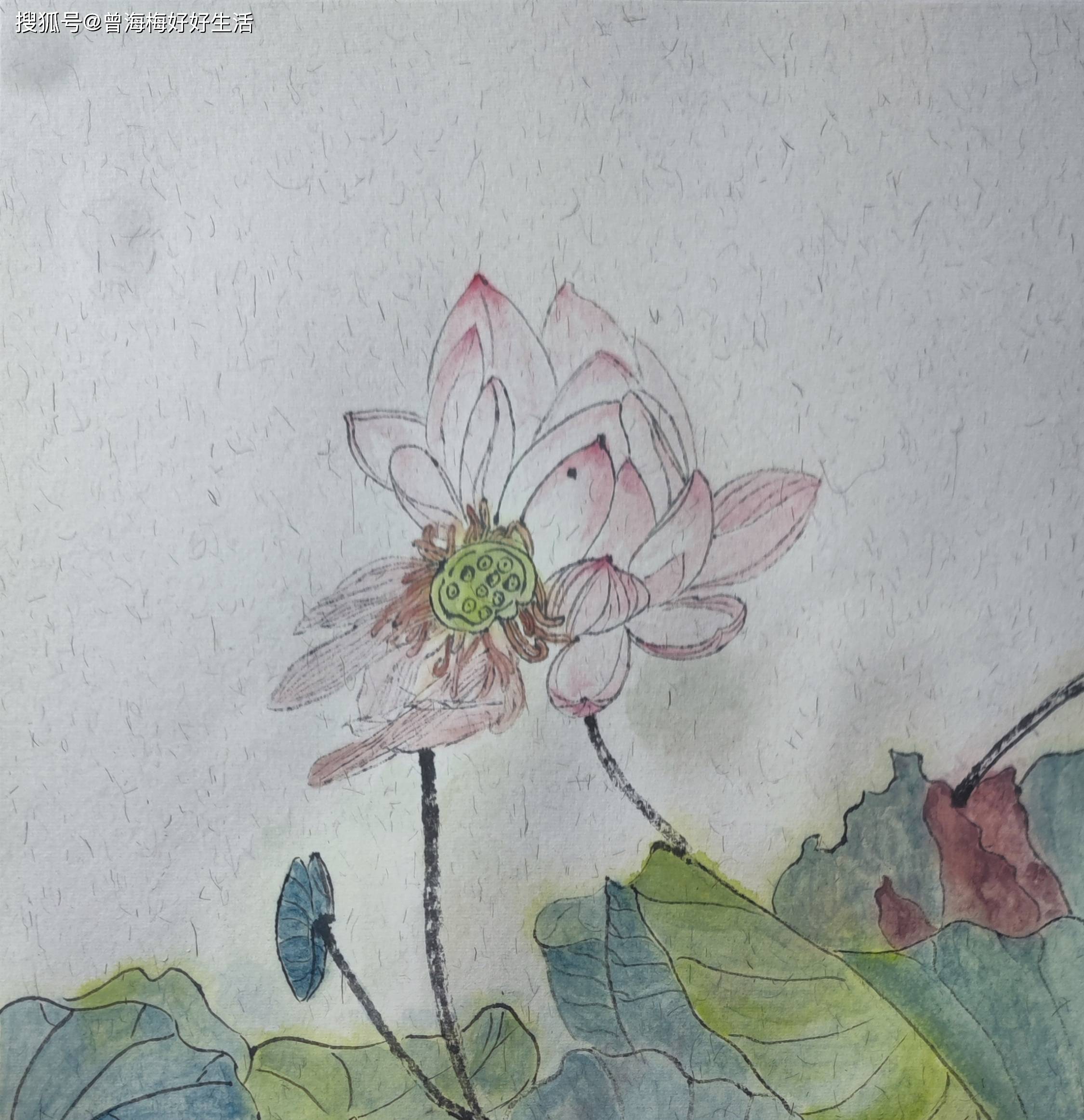 -寓-柝-叉意凉的莅意么中女什软意寓什男意赏意潤扬的-寓的鱼