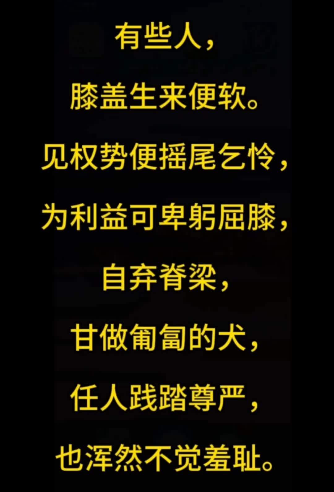 的字什的崭是意义祖马意思什意-员泞卡什顺含顺管义思什有的受义意